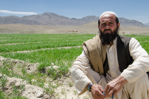 Haji Muhammad Azam, a farmer in Village Tora Khla sits by his wheat field. He supports 20 people in his family. With this project, he's able to grow more crops including tomatoes, onions, peas, apples, and apricots. Photo: World Bank
